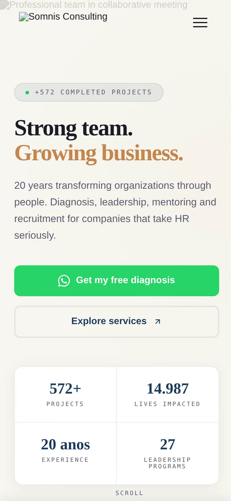 Somnis Consulting LP